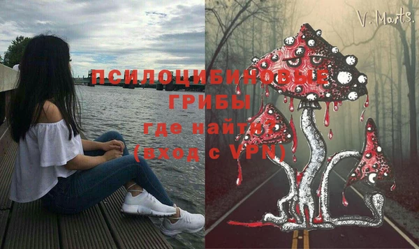 винт Балахна