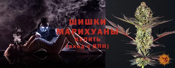 ГАЛЛЮЦИНОГЕННЫЕ ГРИБЫ Покачи