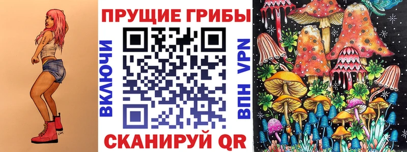 Псилоцибиновые грибы Cubensis Нея